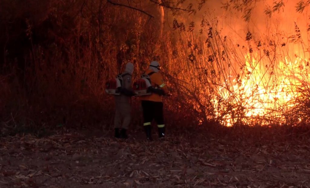 Militar e brigadista combatem incêndio em Sinop (reprodução SBT Sinop)
